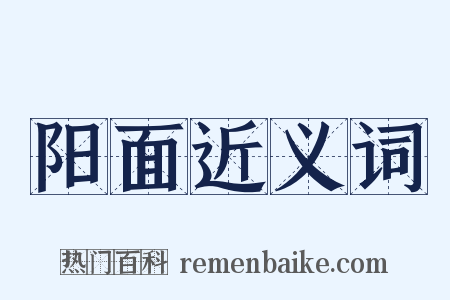 阳面近义词是什么意思的图片